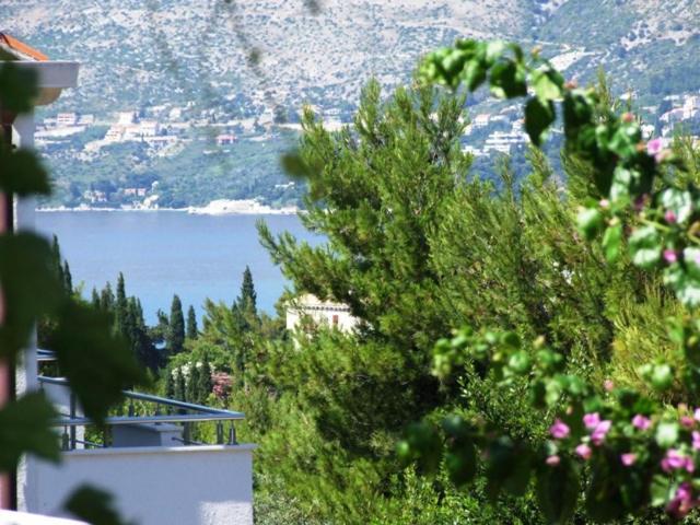 Villa Kipre 2 Cavtat Exteriér fotografie