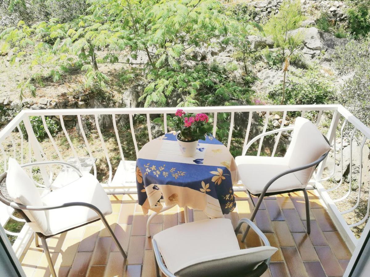 Villa Kipre 2 Cavtat Exteriér fotografie